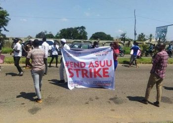ASUU didn’t go on strike over IPPIS, says UNN-ASUU Chairman