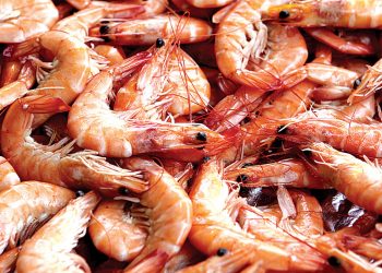 Central China County finds COVID-19 on imported frozen food