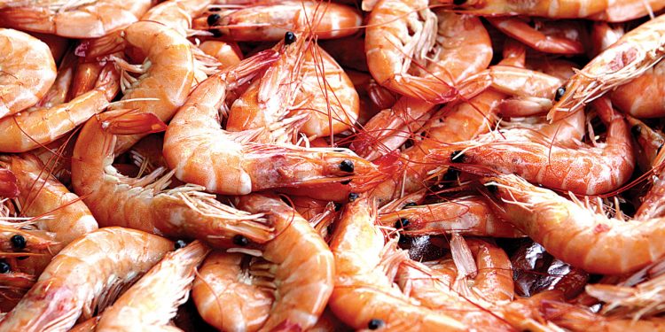 Central China County finds COVID-19 on imported frozen food