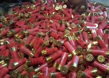 Customs intercepts 73 locally manufactured guns, 891 cartridges in Kebbi