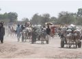 Widespread regional challenges pervasive in Central Africa, UN Security Council told