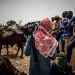 Climate change, migration and urbanisation: patterns in sub-Saharan Africa