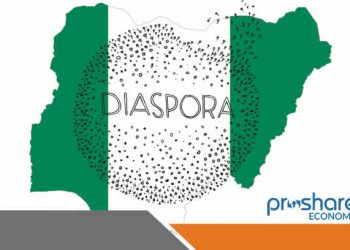 Diaspora Nigerians urge home-based compatriots to stop campaigning for politicians in foreign lands
