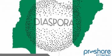 Diaspora Nigerians urge home-based compatriots to stop campaigning for politicians in foreign lands