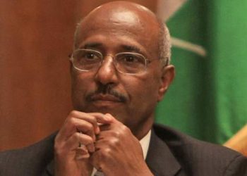 Ethiopia’s ex-foreign minister killed by army