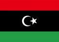 Libya spends US$284m in 2020 to fight against coronavirus