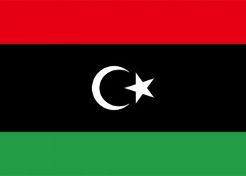 Libya spends US$284m in 2020 to fight against coronavirus