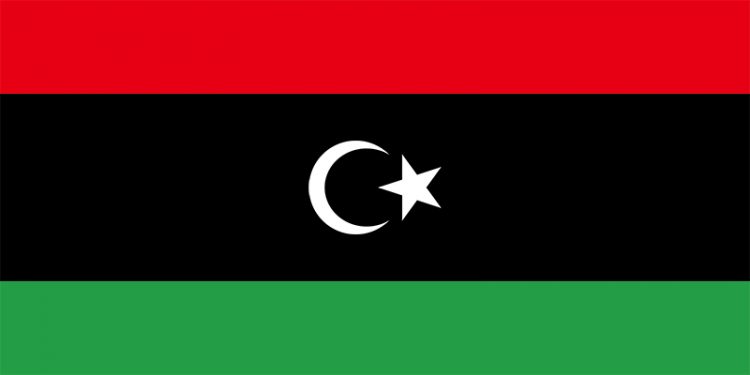Libya spends US$284m in 2020 to fight against coronavirus