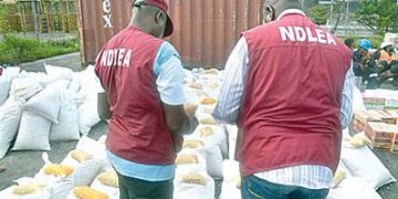 NDLEA arrests 133 suspected drug traffickers in Oyo