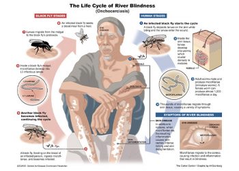 World NTDs Day: Gombe faces high risks of Biharzia, River Blindness, Elephantiasis, say experts