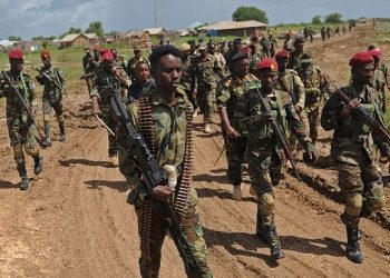 Somali soliders killed by Al-Shabaab militants in large-scale attack