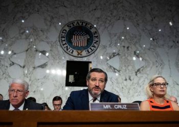 Ted Cruz mounts new challenge to Biden victory