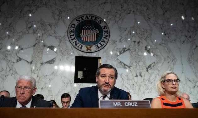 Ted Cruz mounts new challenge to Biden victory