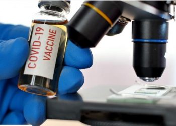 Turkey receives 6.5m doses of China’s Sinovac COVID-19 vaccines