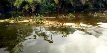 Environmentalists seek probe of crude oil leak in Bayelsa community