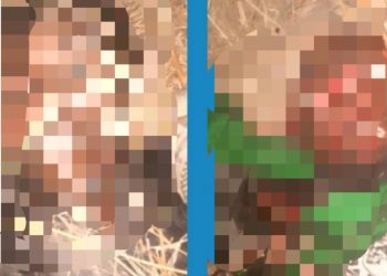 Boko Haram commanders, Abul-Bas, Ibn Habib killed