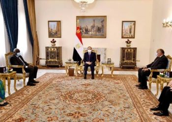 Egypt Rejects Any Measure that Violates its Nile Water Rights