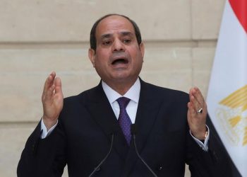 Egypt keen on promoting mutual ties to restore stability in Libya – President