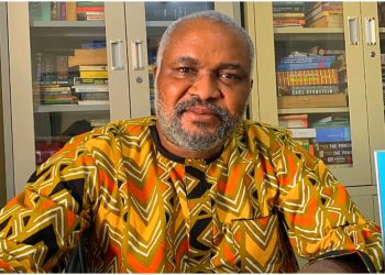 Emmanuel Onwubiko: South East, insecurity and governance