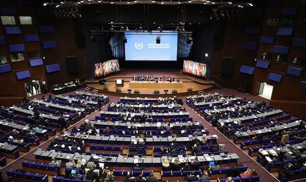 Divisions erupt across globe over ICC ruling on Palestine jurisdiction