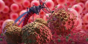 Experts Worry About Pandemic’s Impact on Malaria Progress in Nigeria