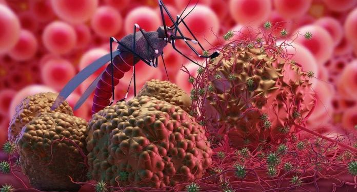 Experts Worry About Pandemic’s Impact on Malaria Progress in Nigeria