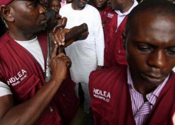 247 suspects arrested in Ebonyi in 2020 — NDLEA
