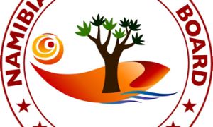 Namibia’s tourism industry loses $220m due to COVID-19 pandemic