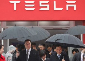 Chinese regulators throw spanner in Tesla’s works