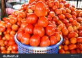 Tomato farmers plan to engage 40 per cent of unemployed youths in the Southwest