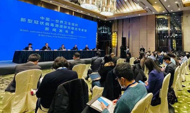 WHO investigation fails to find source of coronavirus