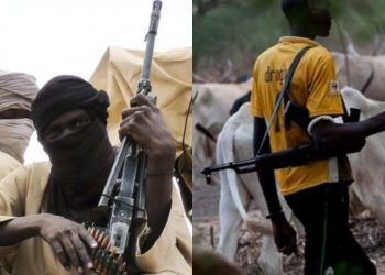 Kidnappers take over Osun, as Amotekun battles killer herdsmen in Ondo, Oyo