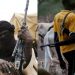 Kidnappers take over Osun, as Amotekun battles killer herdsmen in Ondo, Oyo