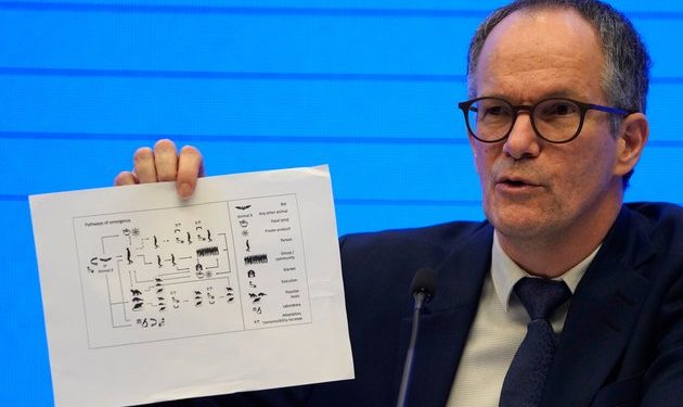 China Outlines COVID-origin Findings, Ahead of WHO Report