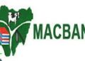 30 herdsmen, 322 cows missing in Anambra – Miyetti Allah writes Police