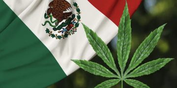 Mexican Senate expected to follow lower house and vote to OK marijuana