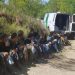 Feb. saw most people detained at Mexican border since 2006