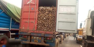 Middlebelt forum condemns alleged blocking of food items to southern Nigeria