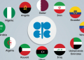 OPEC praises Nigeria for oil production cut