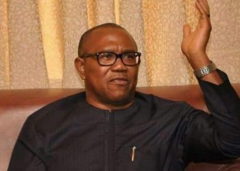 Nation that treats bandits better than intellectuals will not succeed – Former Gov, Peter Obi