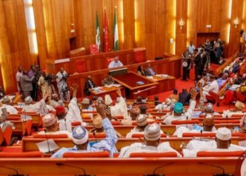 Armed forces bill throws senate into fresh controversy
