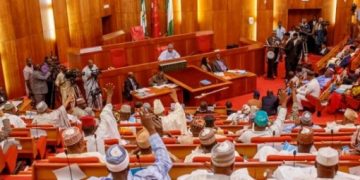 Armed forces bill throws senate into fresh controversy