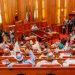 Armed forces bill throws senate into fresh controversy