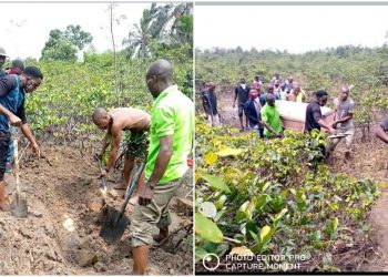 Police exhume body of CDC Chairman buried alive
