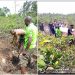 Police exhume body of CDC Chairman buried alive