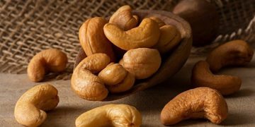 Africa cashew nut farmers not reaping benefits, says UN body