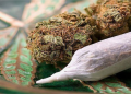 Osun: Two persons arraigned for smoking Indian hemp