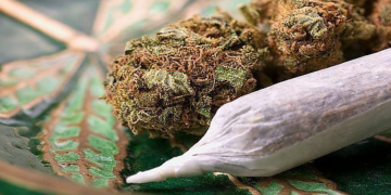 Osun: Two persons arraigned for smoking Indian hemp