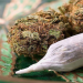 Osun: Two persons arraigned for smoking Indian hemp