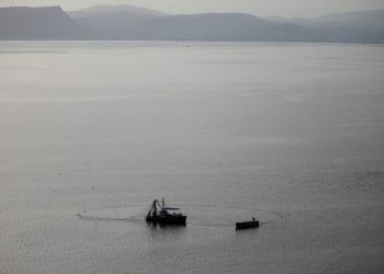 34 migrants dead after boat capsizes off Djibouti: IOM